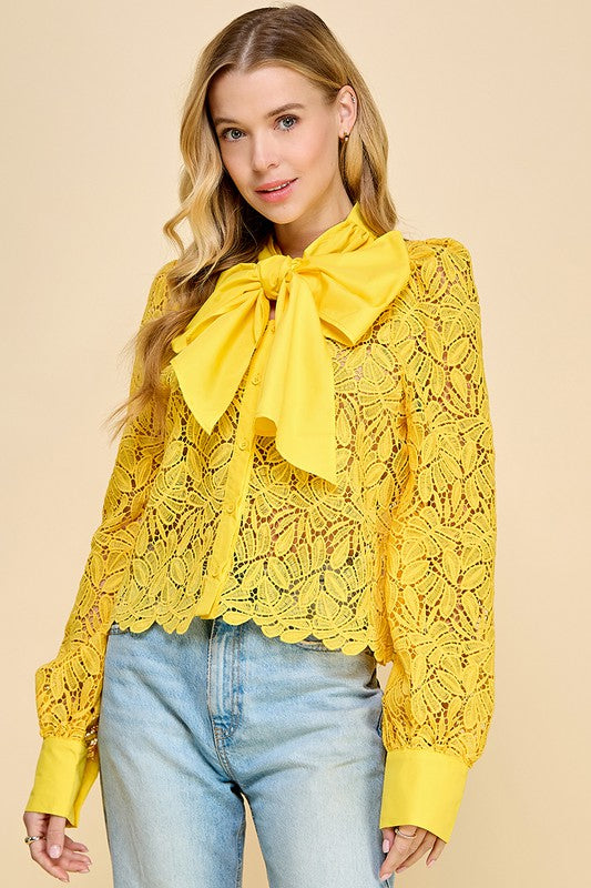Yellow Chic Button Up Lace Long Sleeve Top