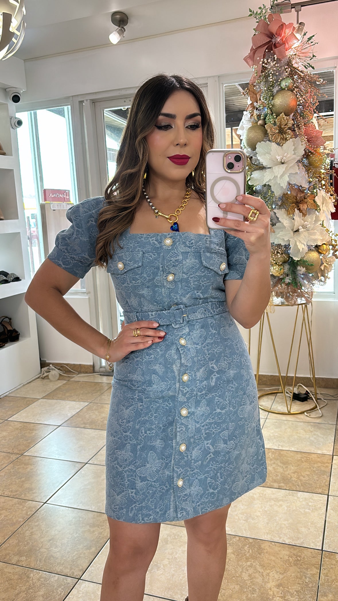 Butterflies Denim Dress