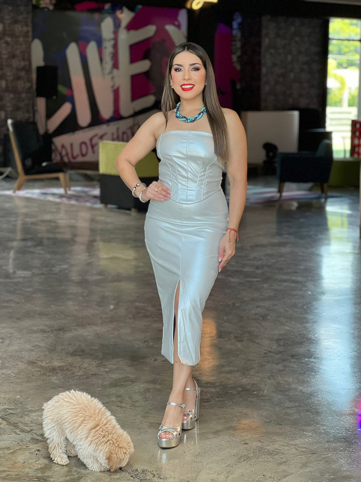 Metallic Corset Top & Skirt Set