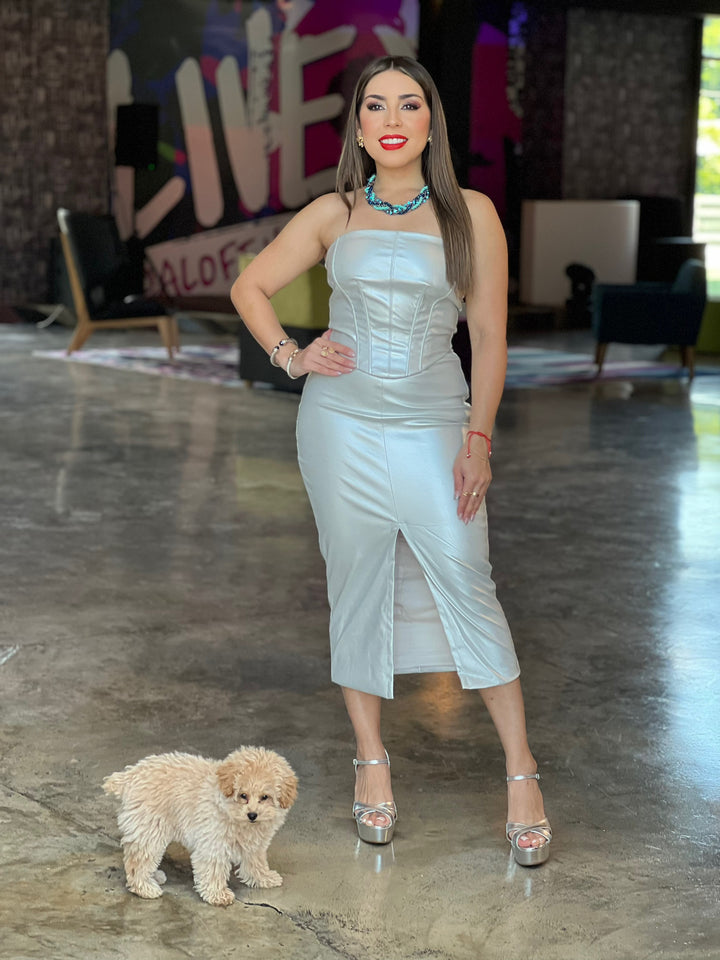 Metallic Corset Top & Skirt Set