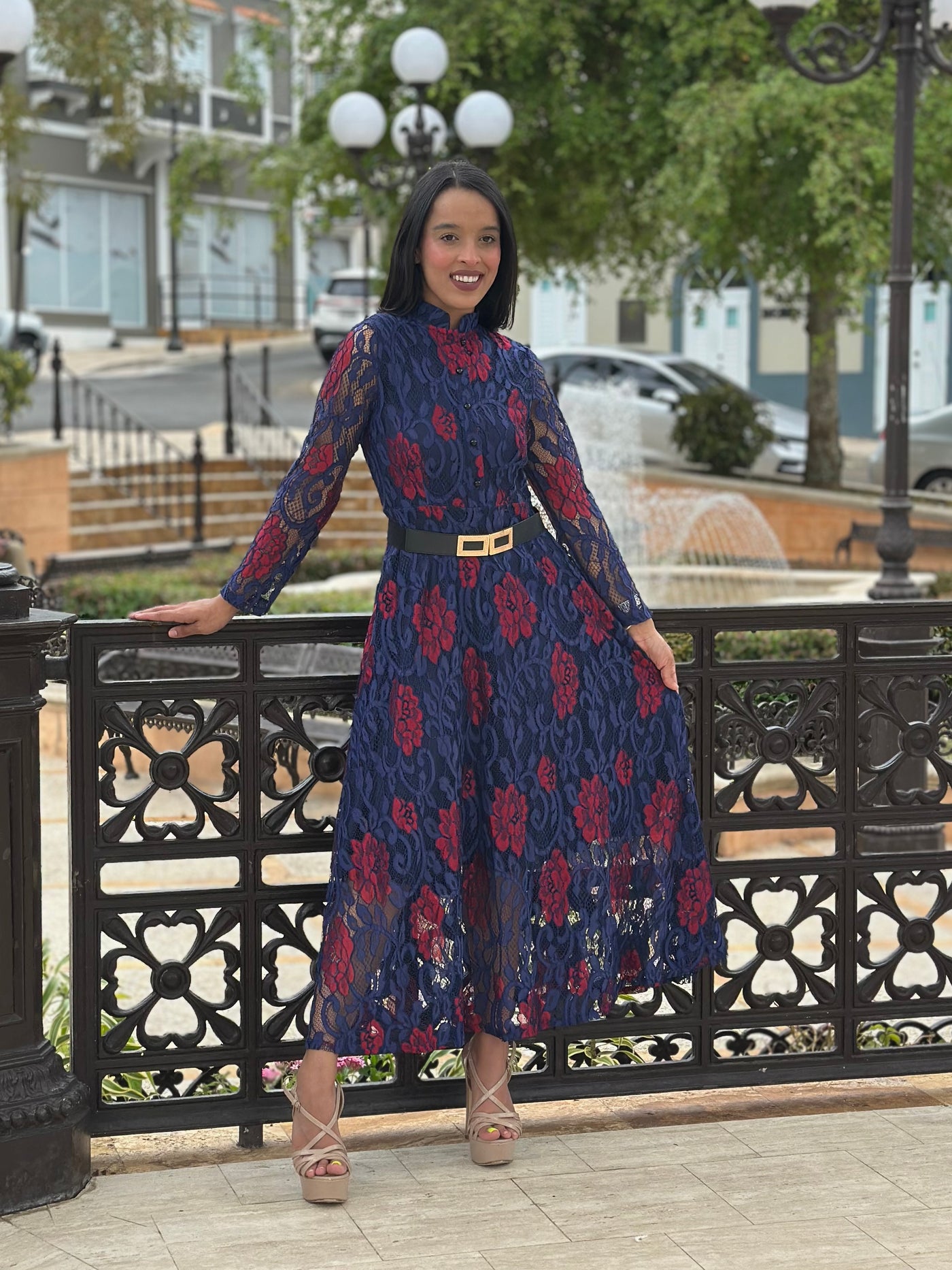 Rose Lace Dress