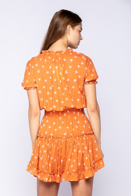 Floral Print Mini Dress