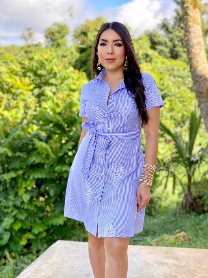 Buttton Down Dress