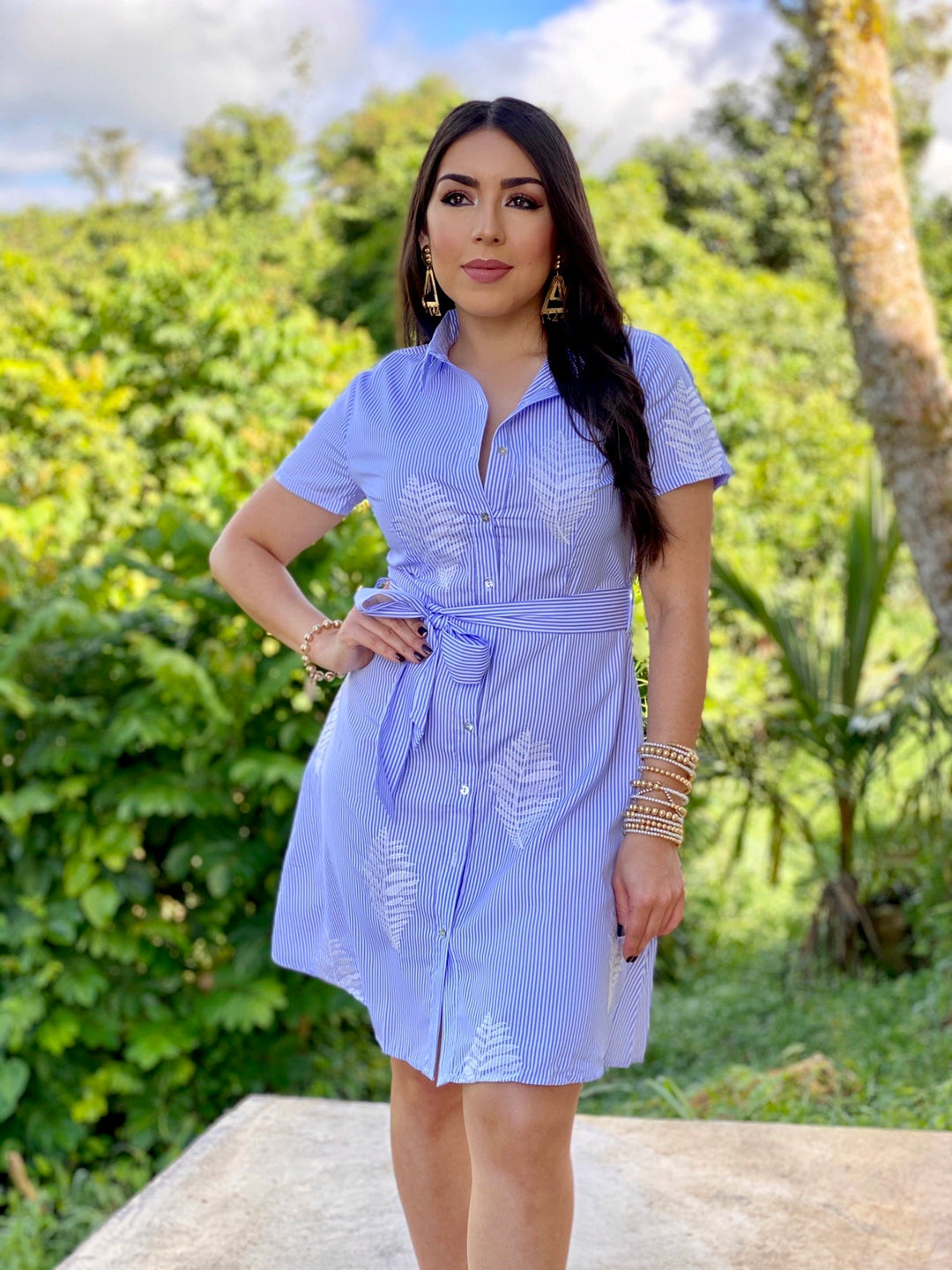 Buttton Down Dress