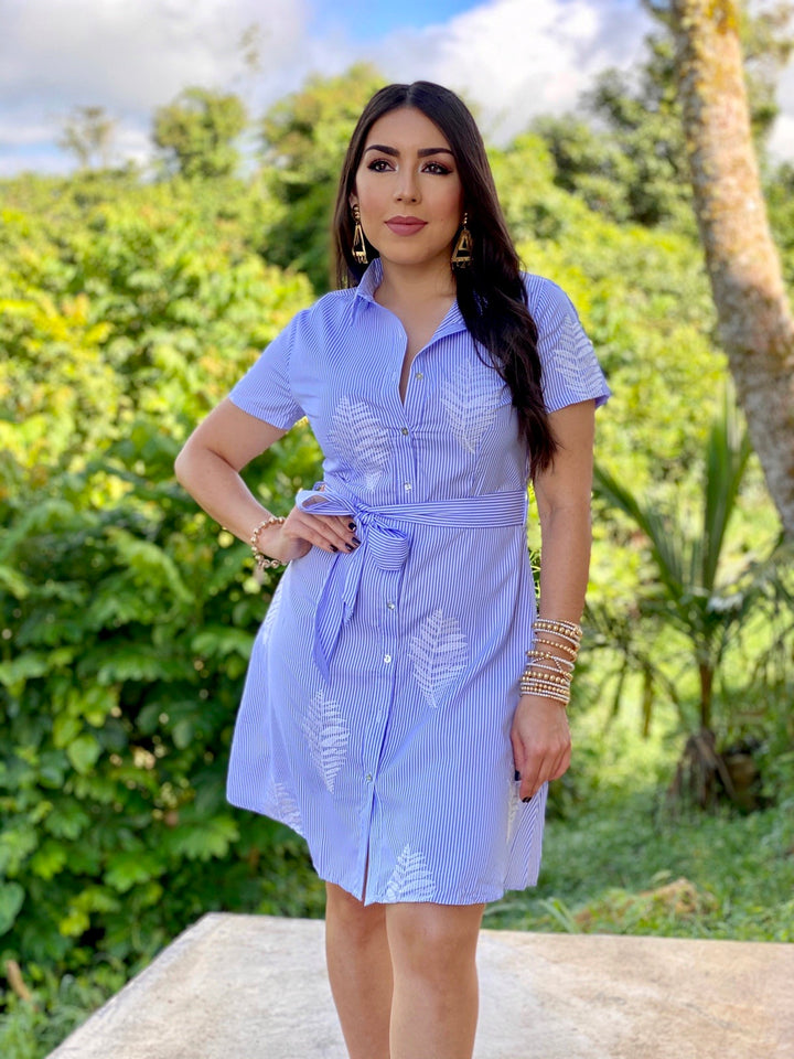 Buttton Down Dress