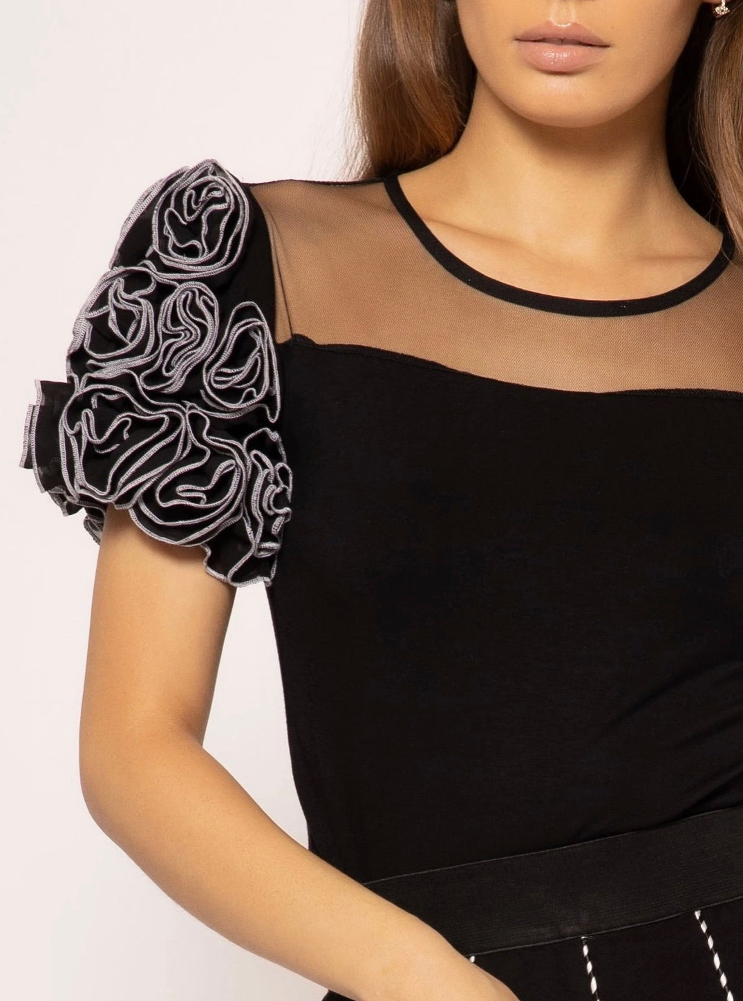 Sheer Shouldered Rose Sleeves Top